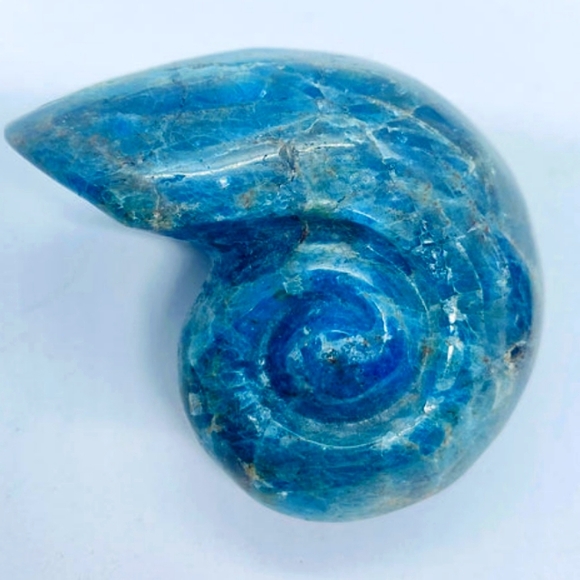 Blue Apatite Conch Shell - Picture 2 of 2